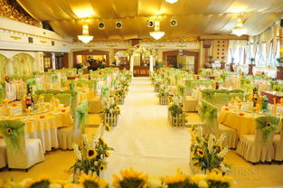 森棵婚庆 为您打造独一无二的浪漫婚礼体验