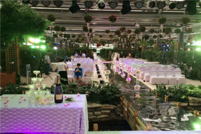 一站式婚庆服务，打造完美婚礼——郑州绿博园婚庆服务全解析